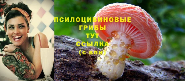 a pvp Карталы
