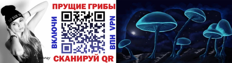 Купить  Лесной  Псилоцибиновые грибы Psilocybe 